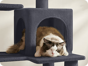Cat sitting on a gray cat tree with multiple levels