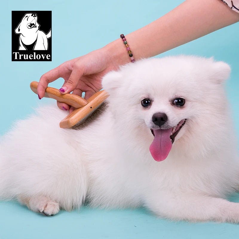 White fluffy dog being groomed with bamboo slicker brush.