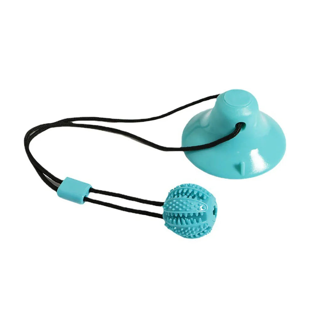 Turquoise ball with textured surface and suction cup on a black string against a white background
