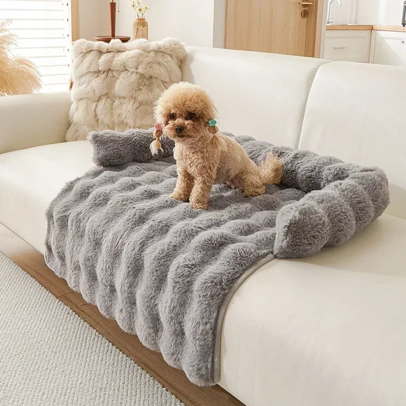 Small dog on a fluffy gray blanket on a white couch in a living room.