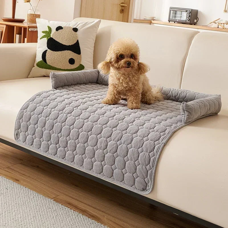 Small dog sitting on a gray quilted blanket on a white couch with a panda pillow.
