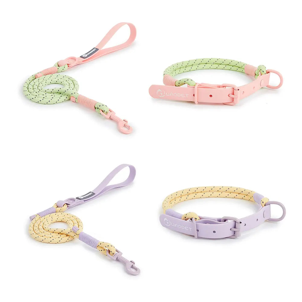Set of colorful pet collars and leashes on a white background