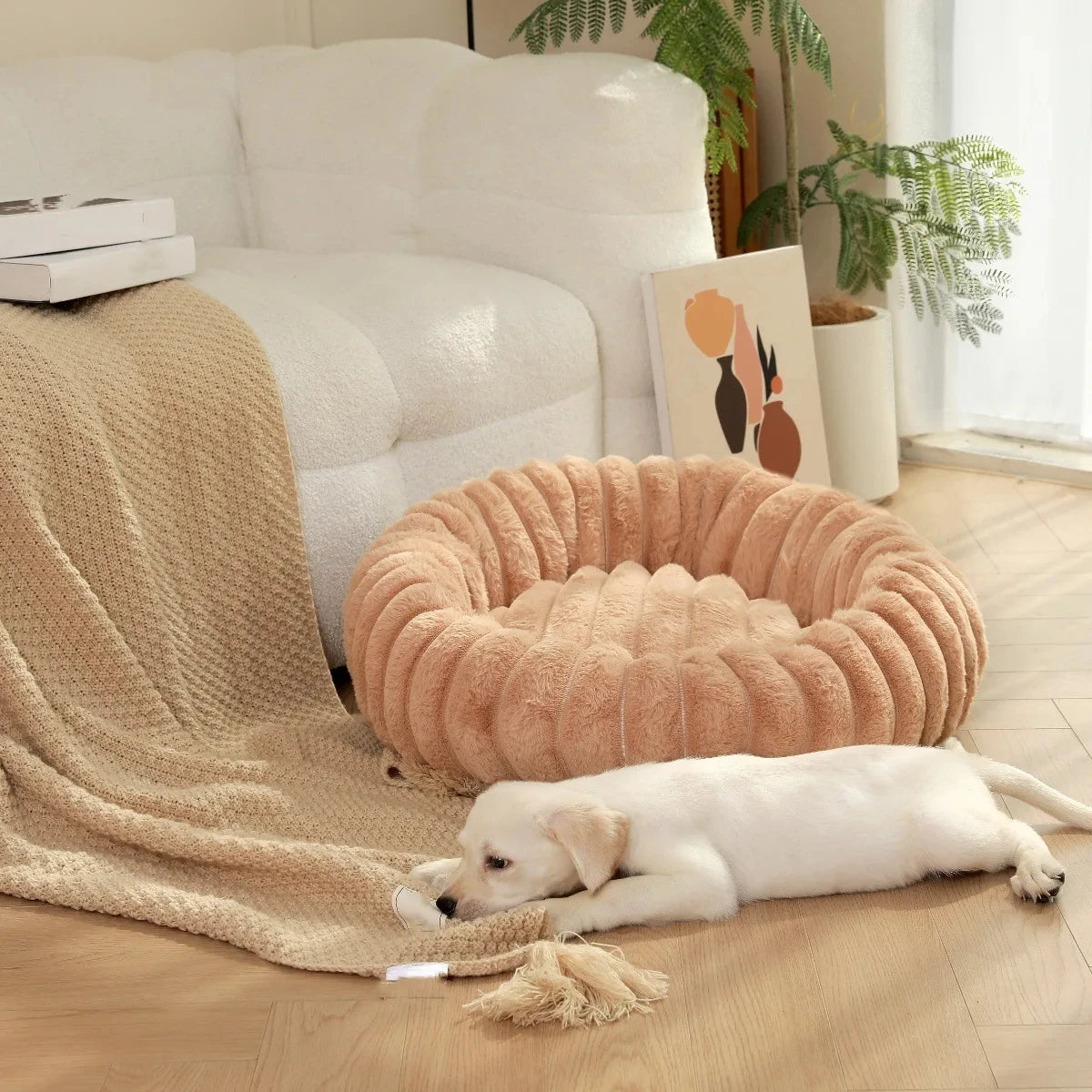 Small white puppy lying on floor beside round plush dog bed in beige color.