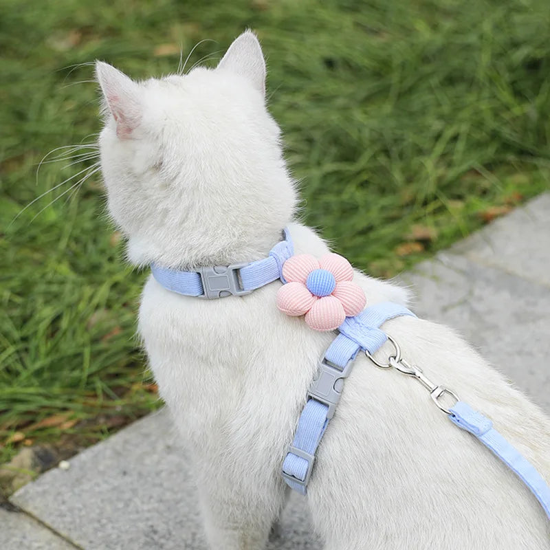 White cat wearing light blue L-shape pet harness with pink flower on leash.