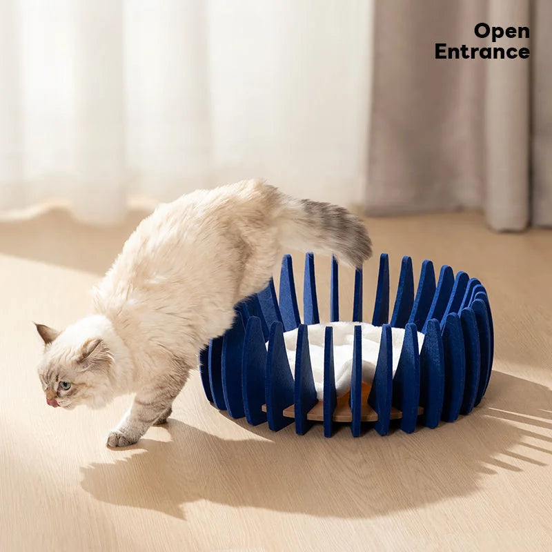 White cat jumping out of a low blue modular round pet bed with open entrance design.