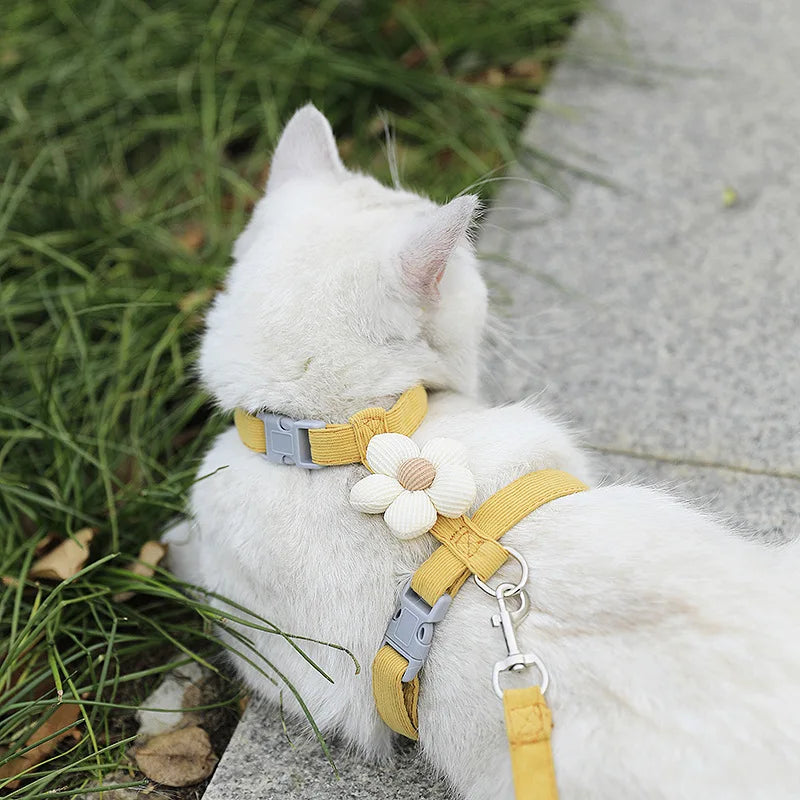 White cat wearing L-shape yellow pet harness with white flower on leash outdoors.