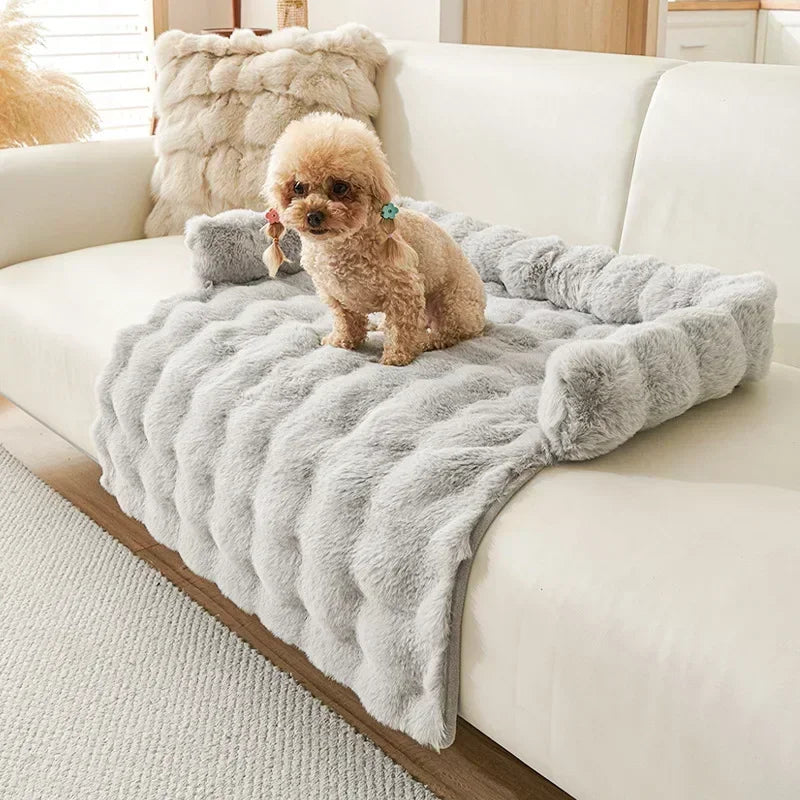 Small dog sitting on a furry ash gray mat bed on a white couch.