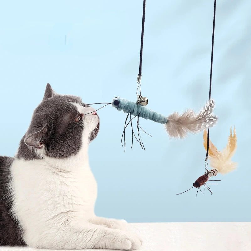 Cat playing with teaser wand with acrylic handle and feather attachment