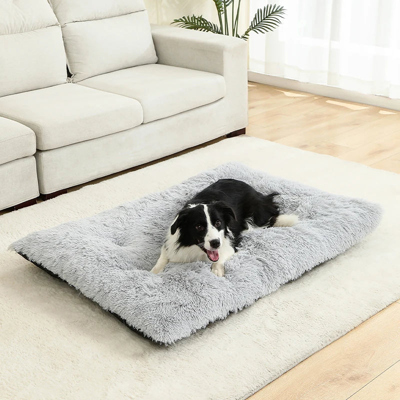 Dog lying on a fluffy light gray pet bed in a living room.