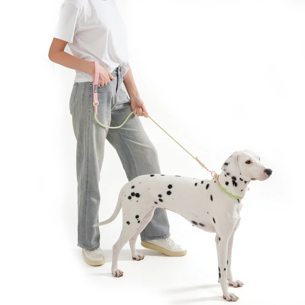 Person walking a Dalmatian dog on a leash against a white background