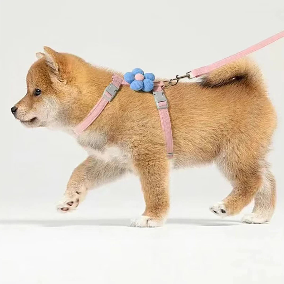 Shiba Inu puppy walking in L-shape pink pet harness with blue flower decoration.