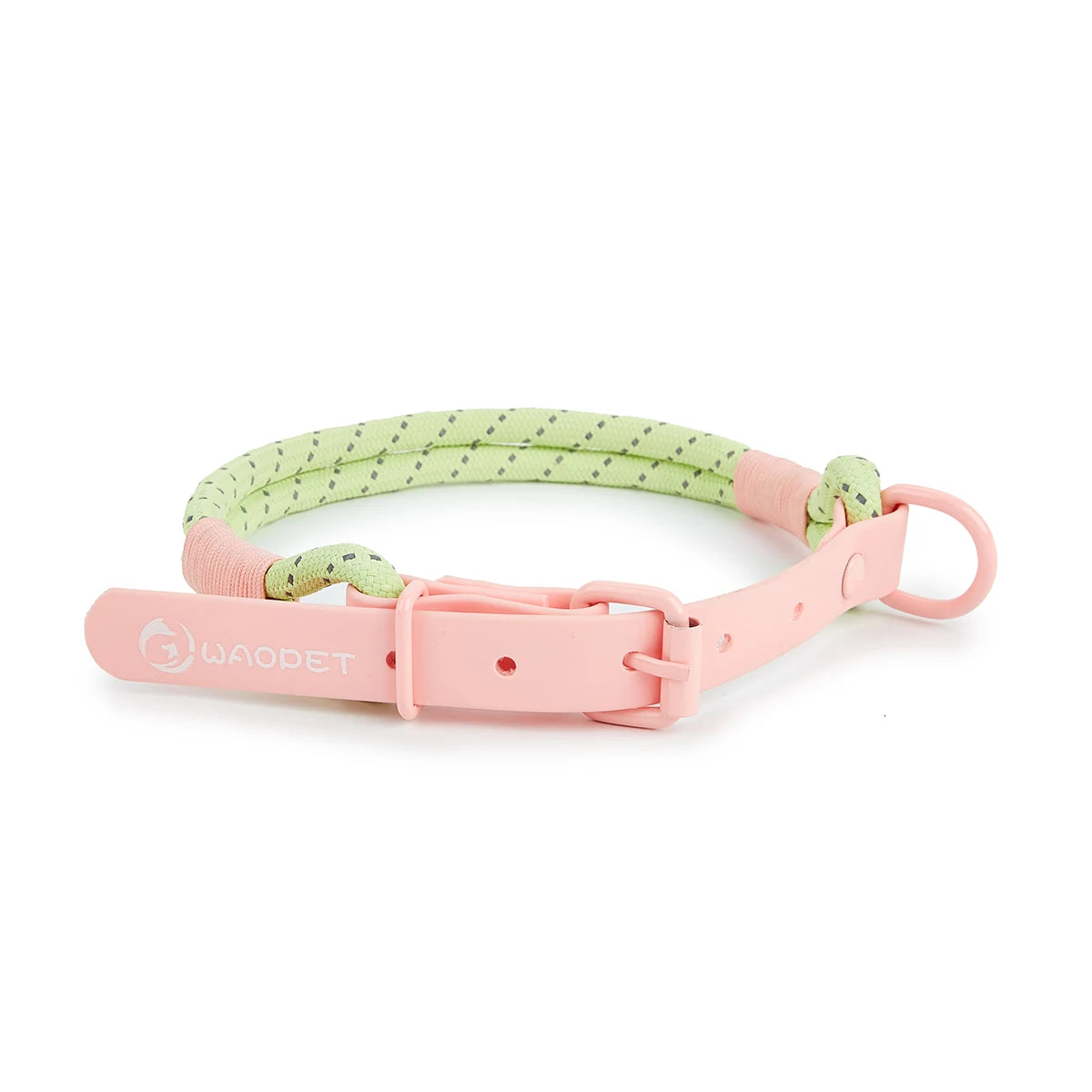 Pink and green dog collar with buckle on a white background
