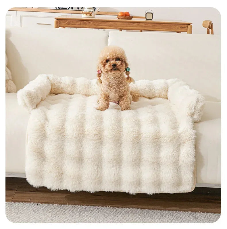 Small dog sitting on a fluffy white pet bed in a living room.