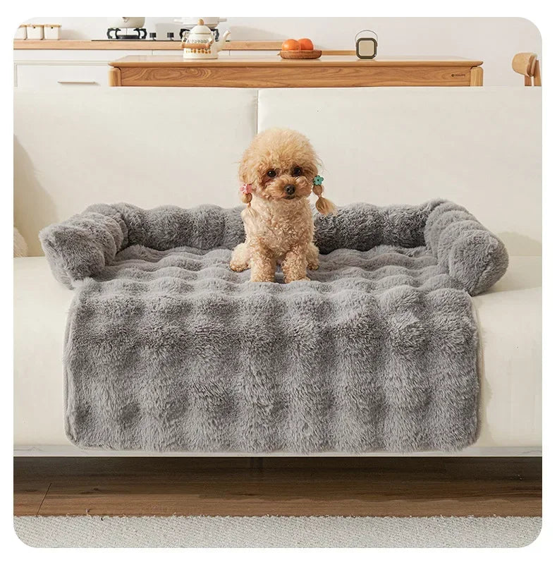 Poodle sitting on a furry gray pet bed in a living room.