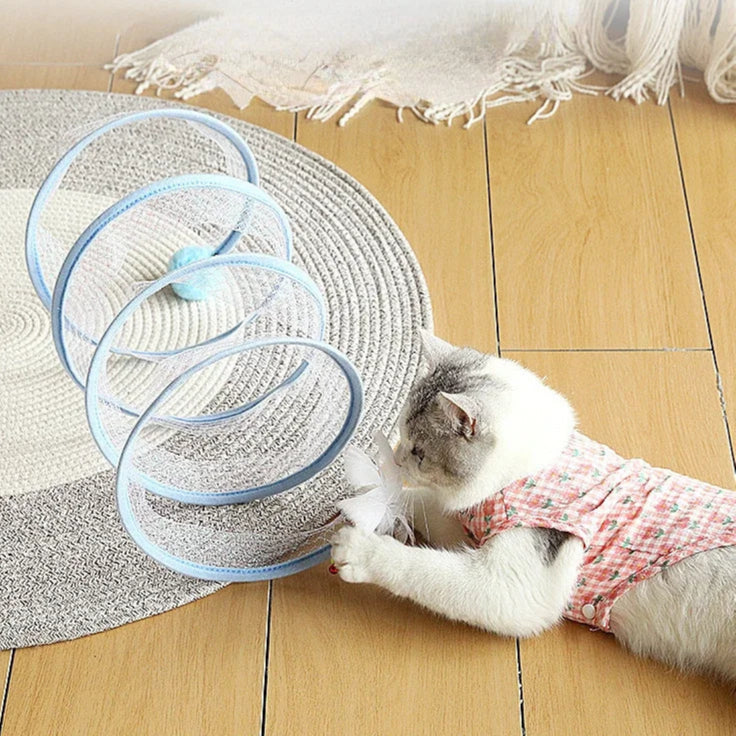 Cat playing and pawing at a blue spiral tunnel toy on the floor.