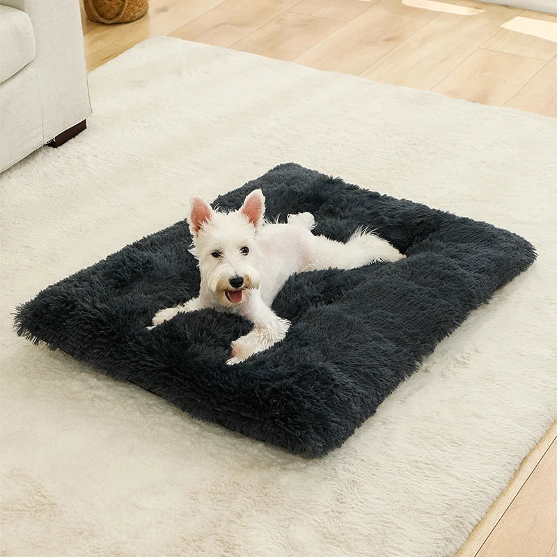 Dog lying on a fluffy dark gray pet bed in a home setting.