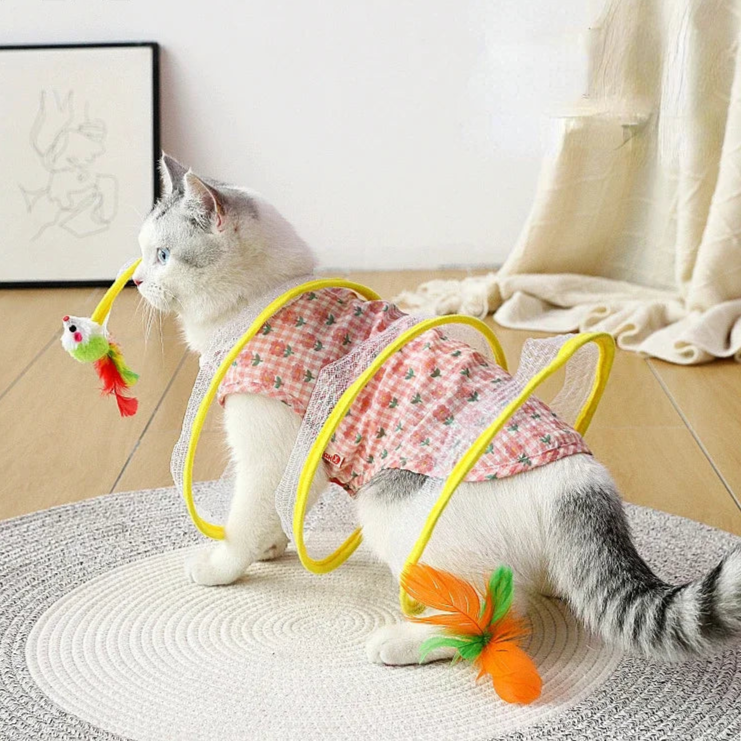 Cat walking through yellow spiral tunnel toy with carrot and ball attachments.