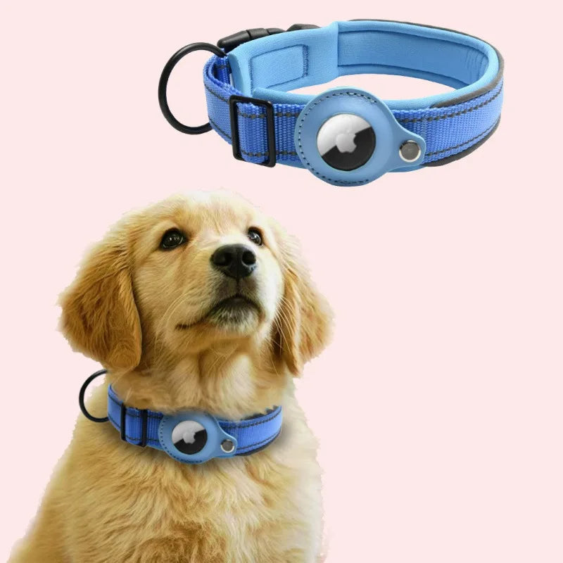 Dog wearing a blue airtag collar with a pink background