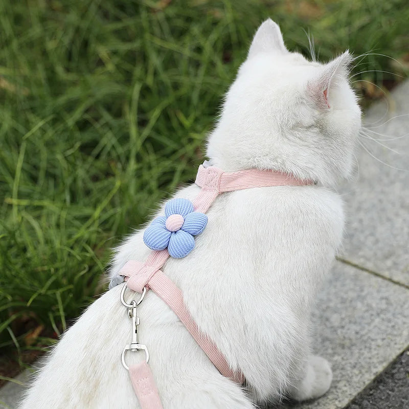 White cat wearing L-shape pink pet harness with blue flower decoration.