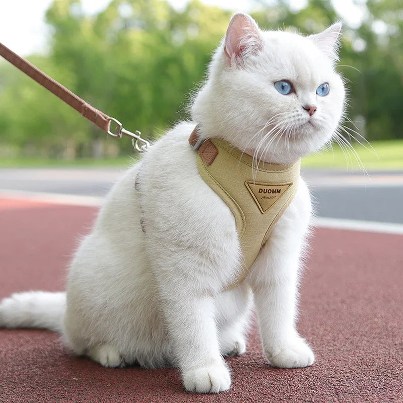 White cat wearing khaki pet harness with leash outdoors.