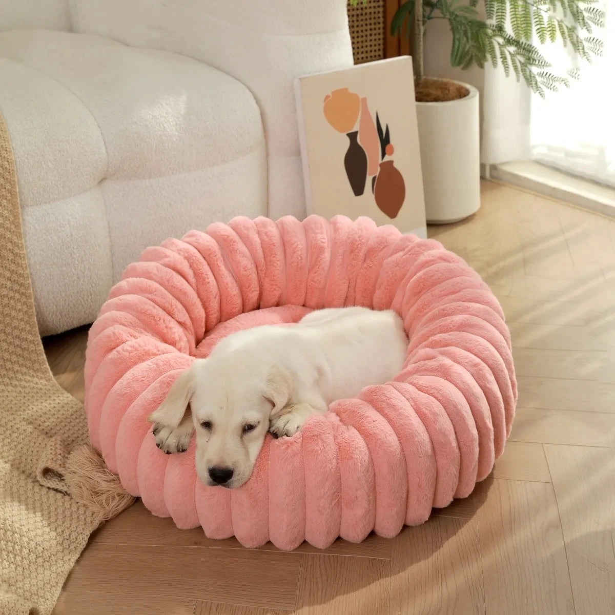 Pink dog bed with a white dog inside in a cozy living room.