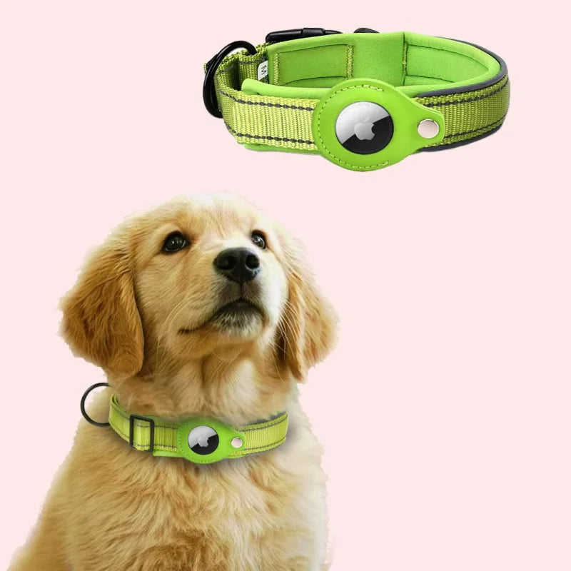 Dog wearing green reflective collar with airtag holder on a pink background
