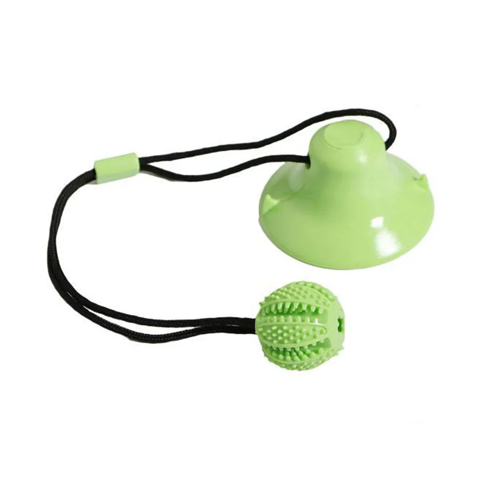 Green dog toy with a textured ball and suction cup on a white background