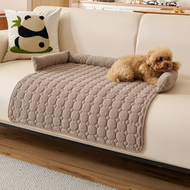 Dog lying on a textured mat bed on a couch with a pillow featuring a panda design.