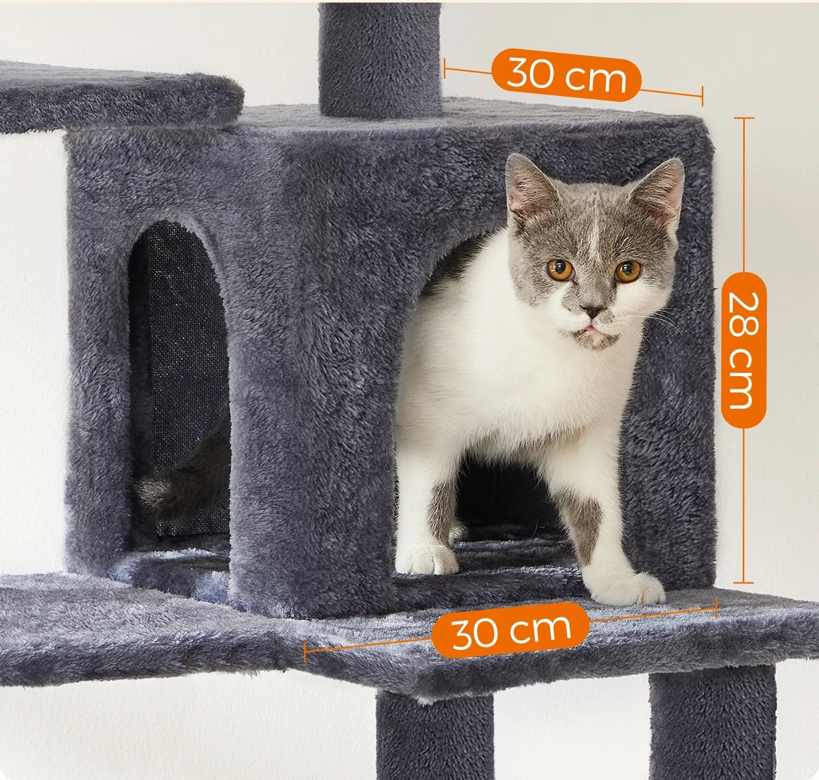 Gray cat climbing out of a two-door cat condo with dimensions labeled 30 cm by 28 cm.