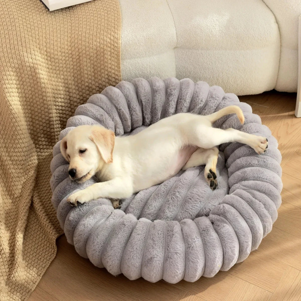 White dog lying on a gray pet bed in a cozy living room.