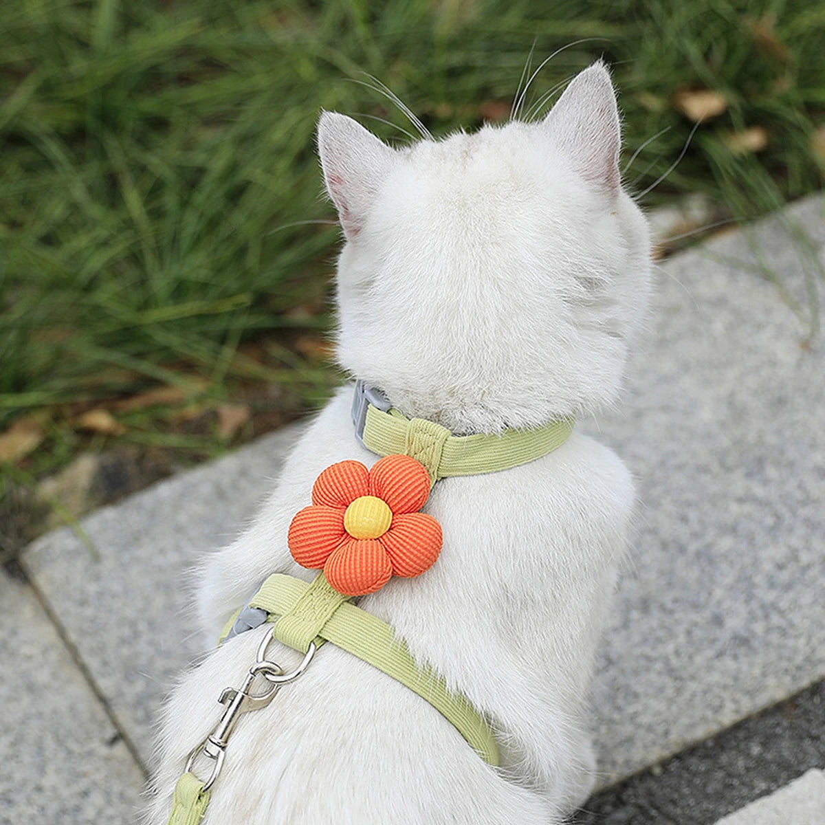 White cat wearing green L-shape pet harness with orange flower decoration on leash.