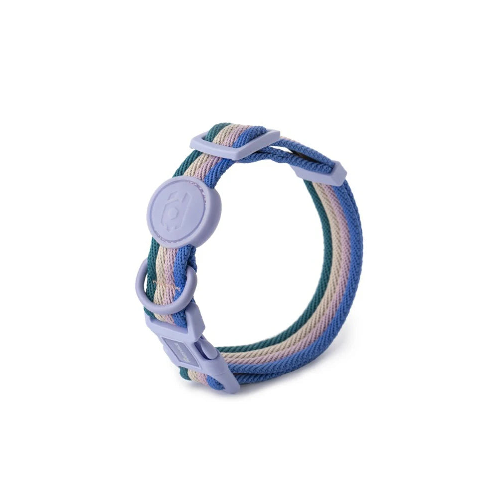 Close-up of striped blue adjustable dog collar on small dog.