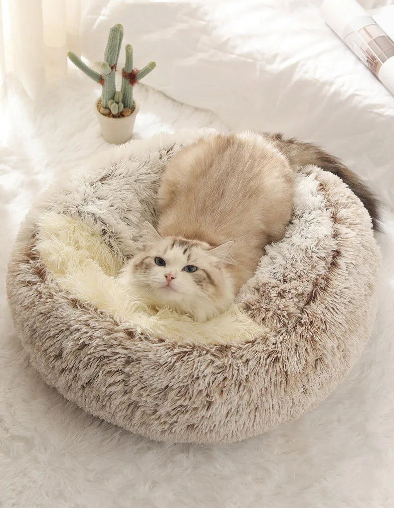Cat lying on a fluffy pet bed with a small plant in the background