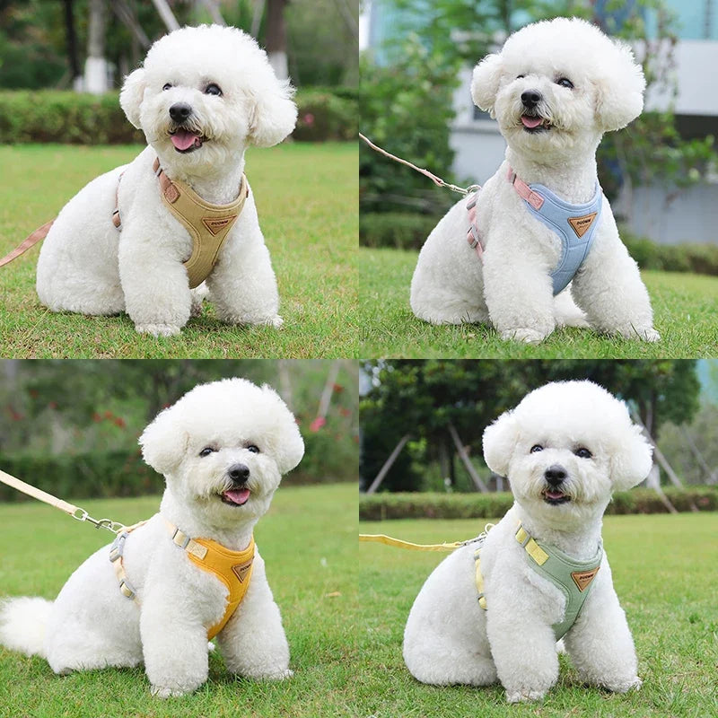 Small white dog wearing pastel pet harness in four colors: khaki, blue, yellow, and green.