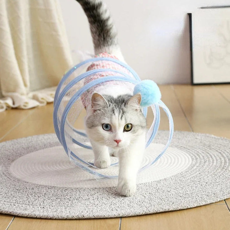 Cat walking through a blue spiral tunnel toy with pom-pom ball on top.rug.