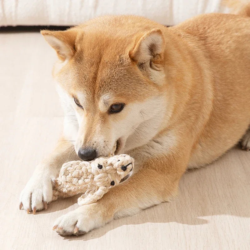 Dog playing with durable plush toy on a light-colored surface