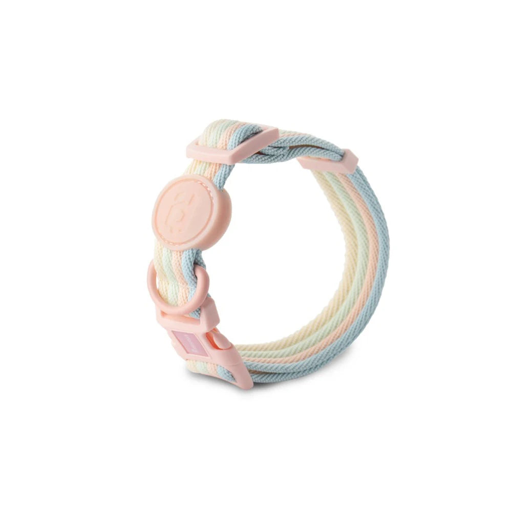 Pastel pink and mint striped adjustable dog collar for dogs on white background.