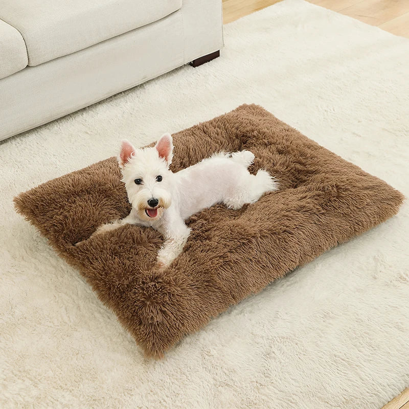 White dog lying on a brown fluffy mat in a living room.