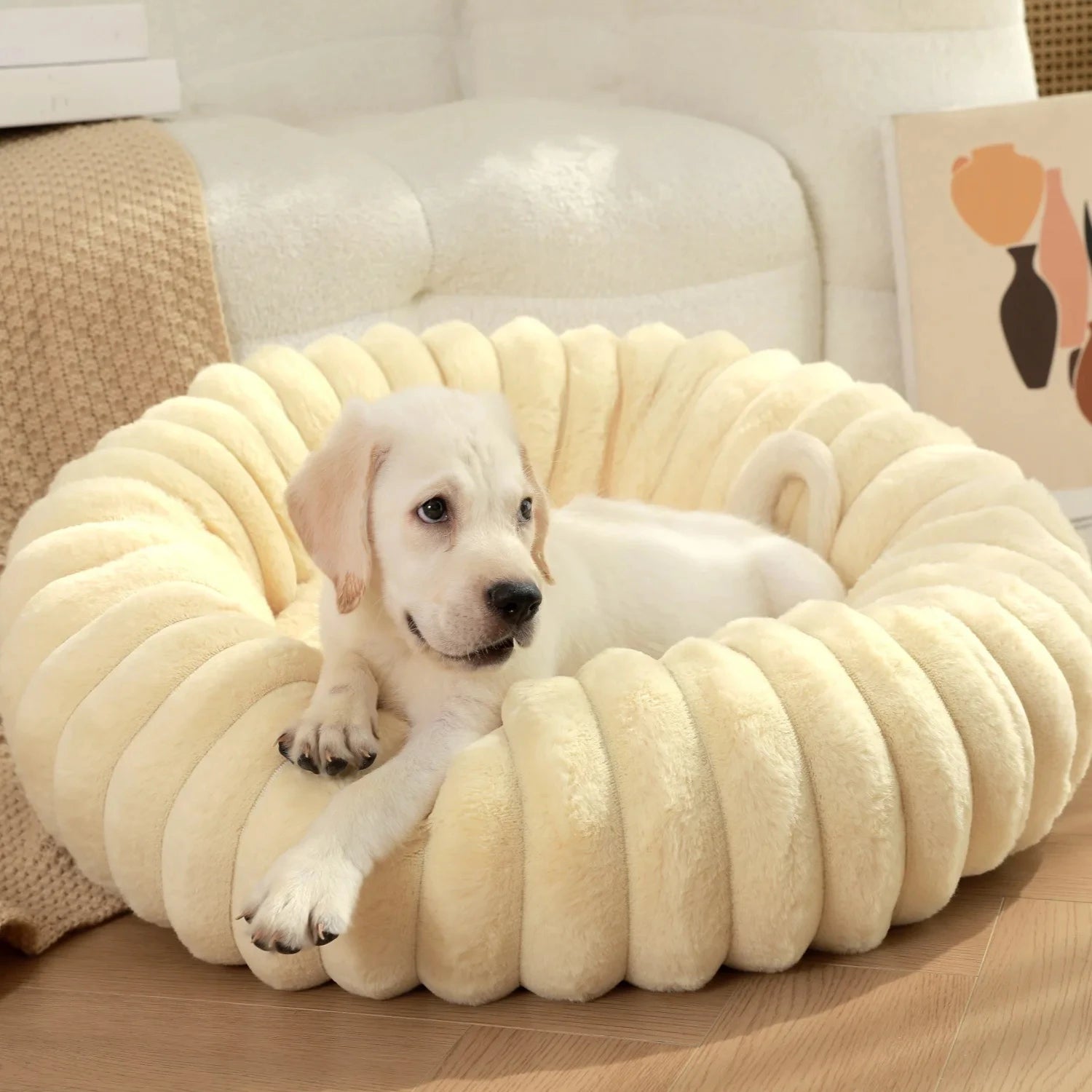 Puppy lying on a plush, round pet bed in a cozy living room.