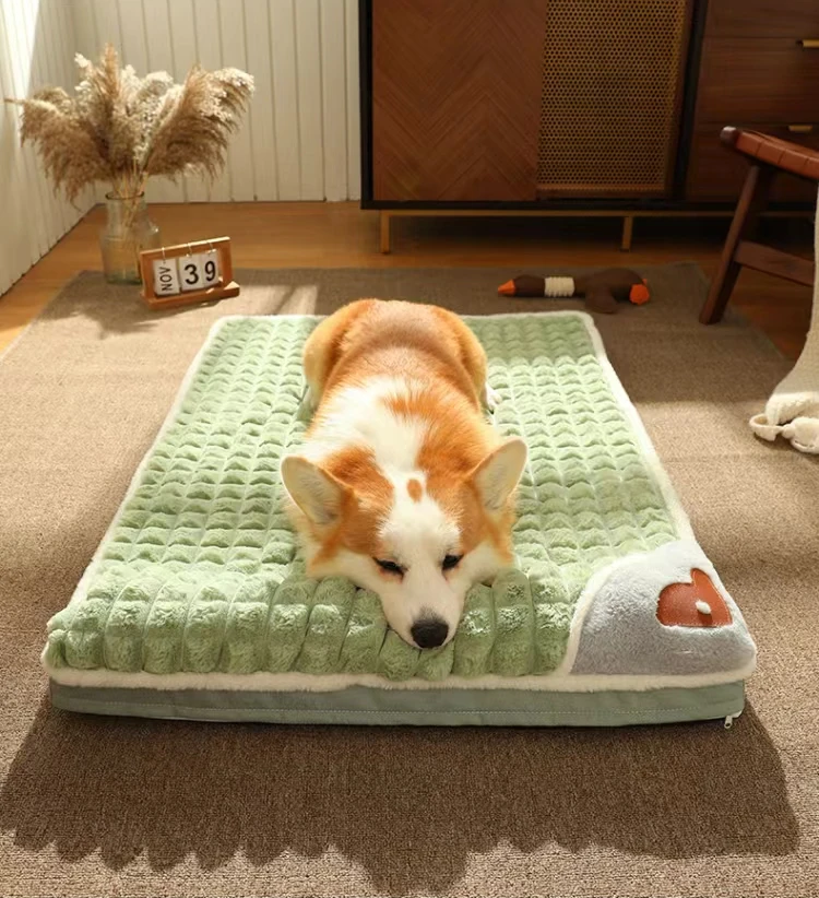 Corgi dog sleeping on green orthopedic dog bed with build-in  pillow design.