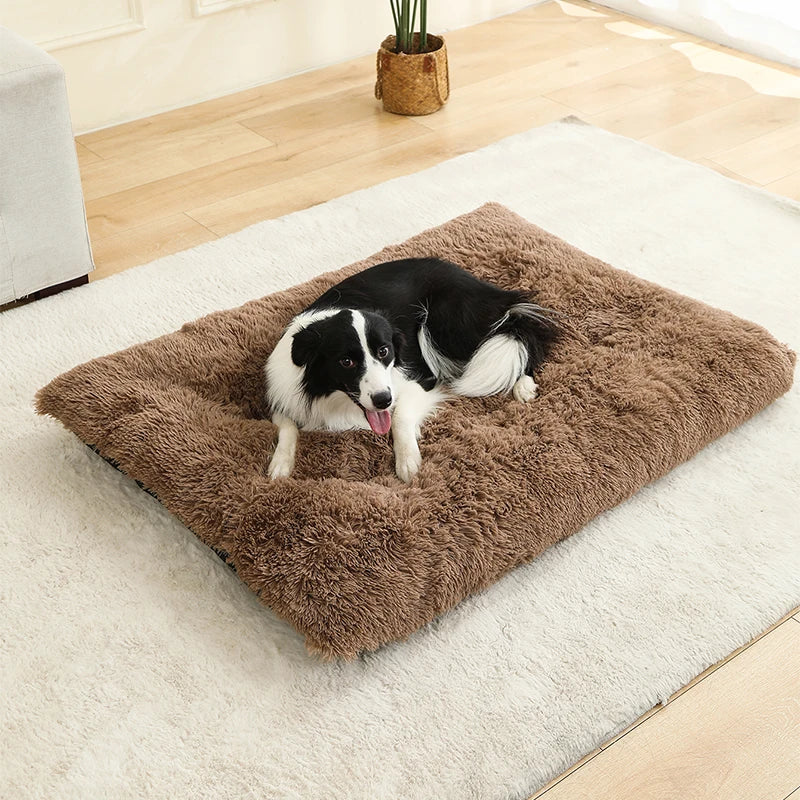 Border Collie Dog lying on a fluffy brown pet bed in a home setting