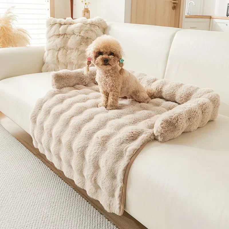 Poodle sitting on a fluffy beige blanket on a white couch in a cozy living room.