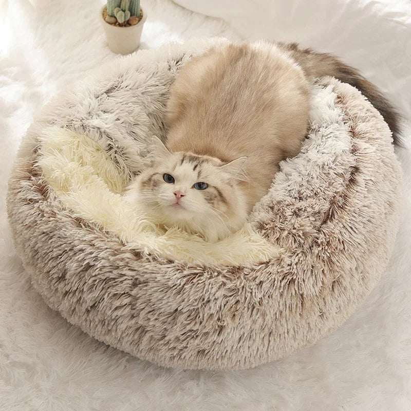 Cat lying on a fluffy beige pet bed with a white background