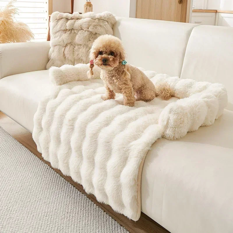 Small dog sitting on a furry white pet blanket bed on a light-colored sofa.