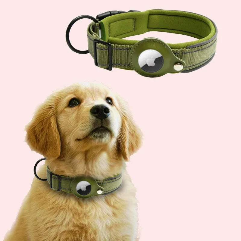 Dog wearing a green airtag collar with a pink background