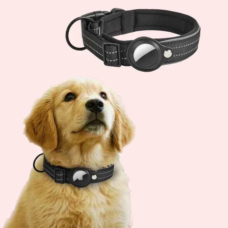 Dog wearing a black airtag collar with a pink background