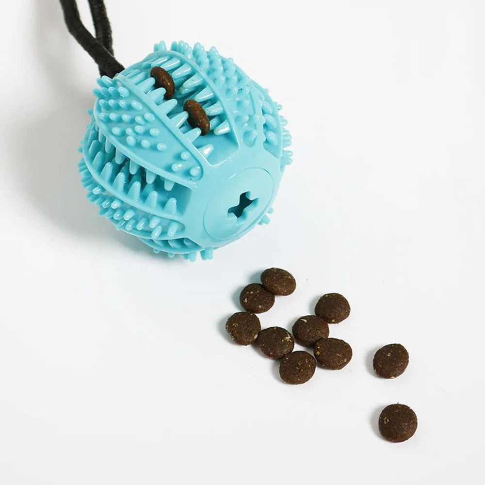 Blue treat-dispensing chew ball with textured spikes – dental toy for dogs