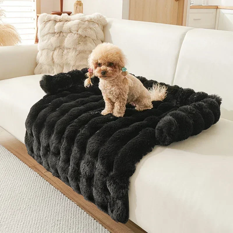 Small dog on a fluffy black furry mat bed on a white couch