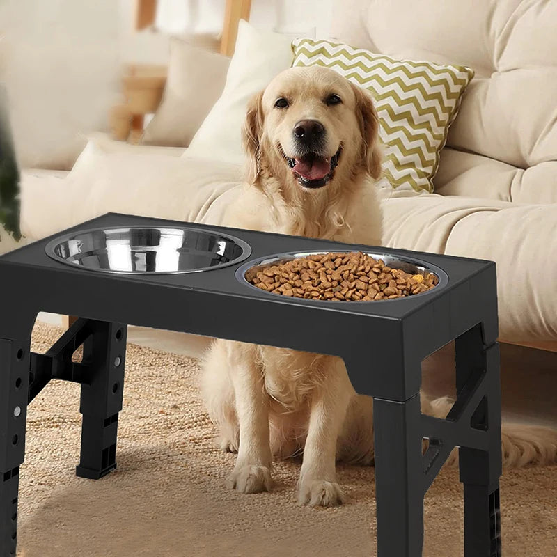 Dog standing next to a elevated pet feeding station with two bowls on a carpeted floor.