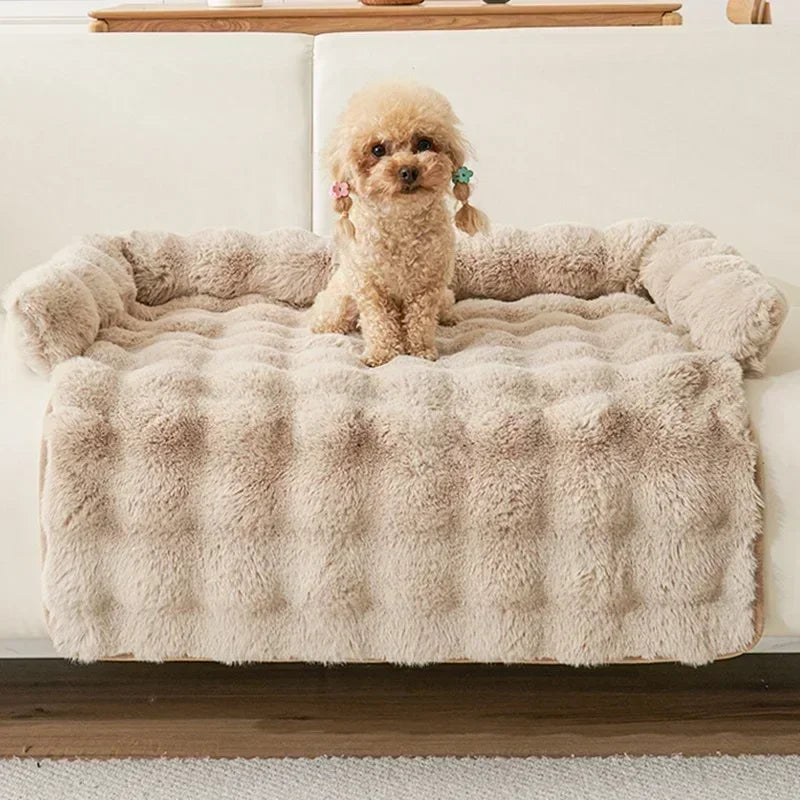 Small poodle sitting on beige fluffy fur sofa dog bed with raised sides.